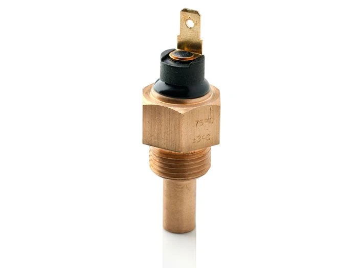FAE F37980 Thermocontact 2 Ventilateurs - Températures 82°C à 96°C